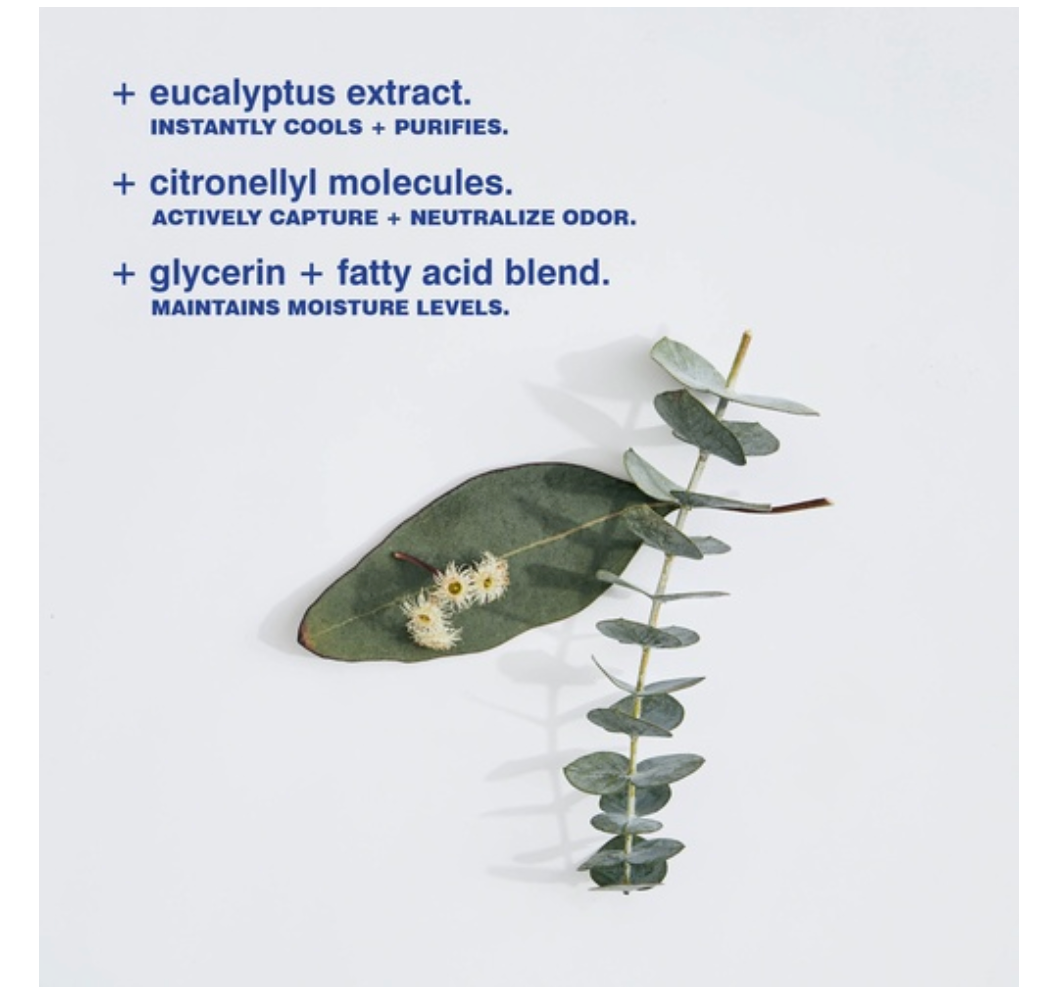 MALIN + GOETZ | Eucalyptus Deodorant - 73 g